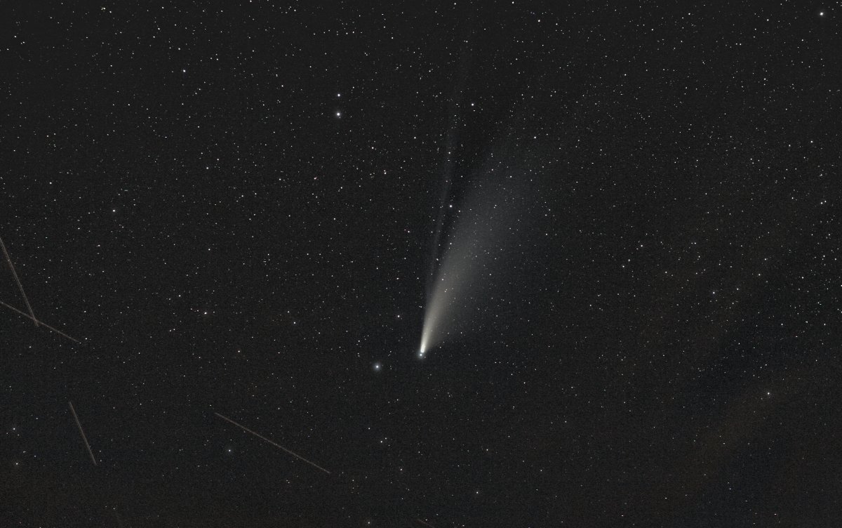 Comète Neowise avec des traînées de satellites